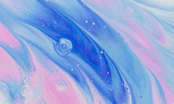 Featured image of post test